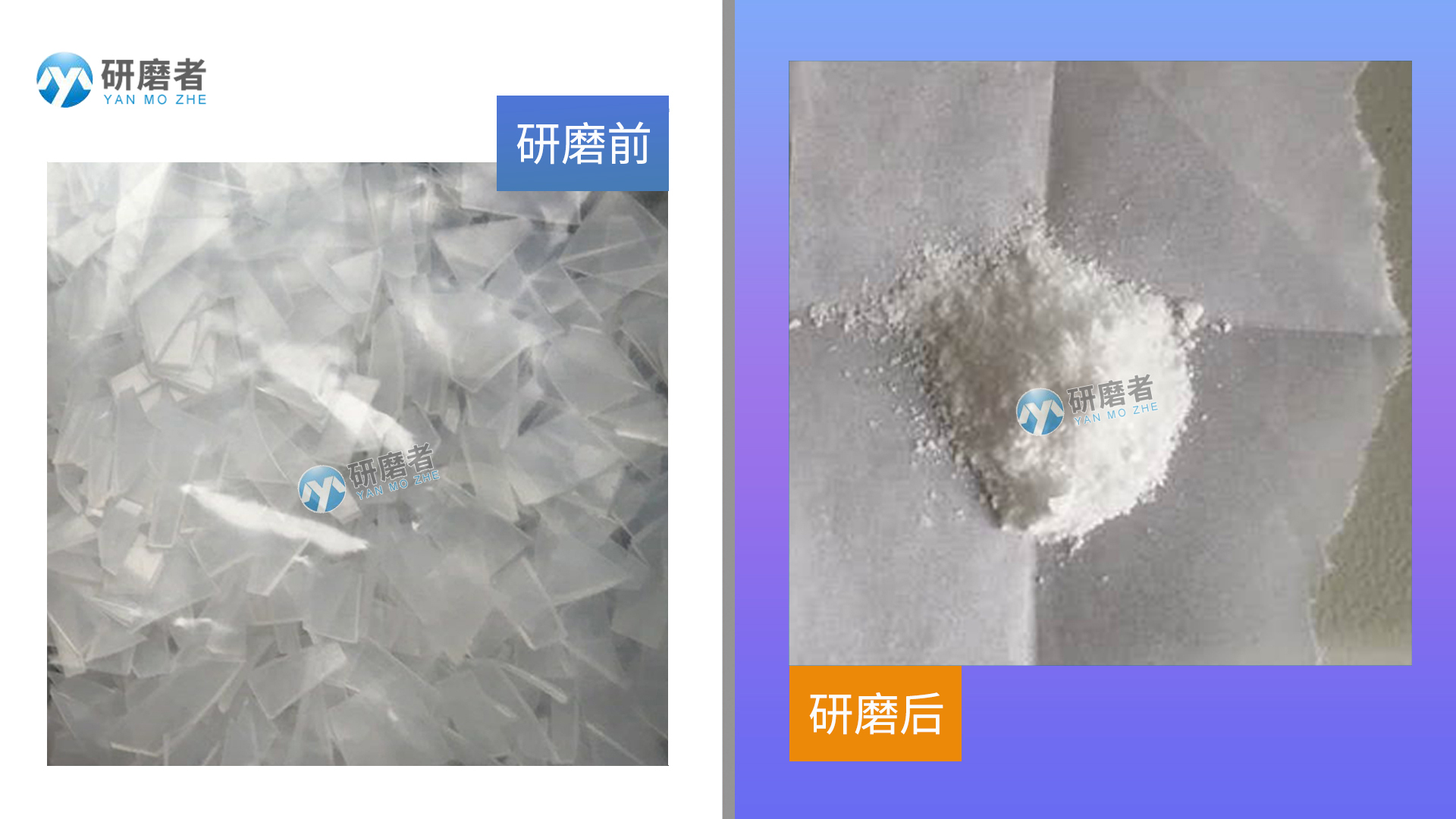 多样品组织研磨仪样品研磨效果图