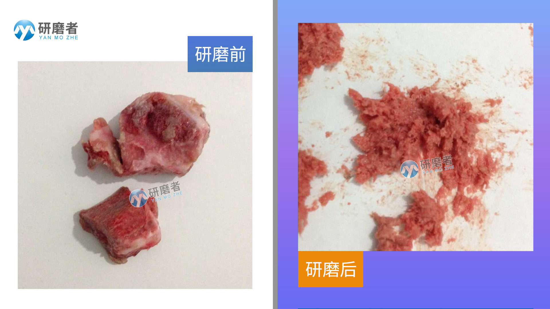 冷冻研磨仪样品研磨效果图