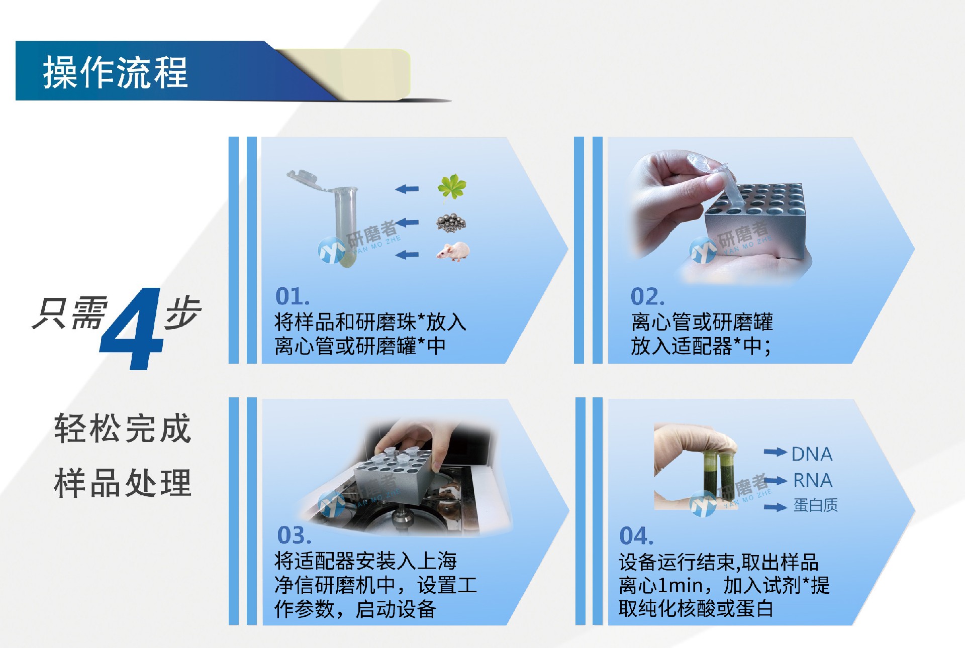 高通量组织研磨机的操作流程